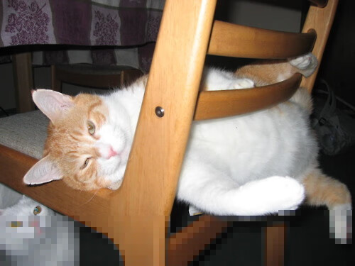 舞台越大，强者越强！萨拉赫如何成为意甲焦点战的定海神针